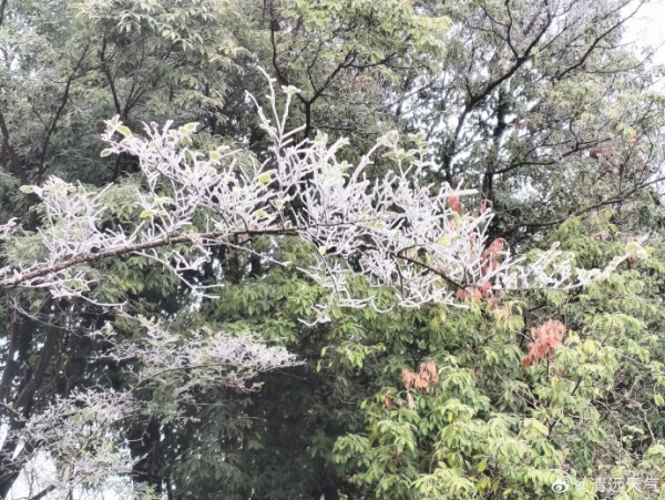 圖片來源：清遠天氣