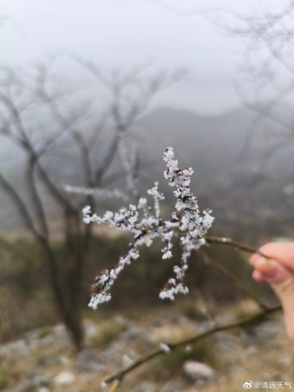 圖片來源：清遠天氣