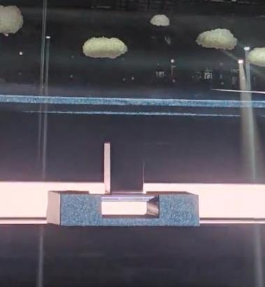 硬過Nokia 3310？Honor Magic8 Pro Air發佈會玩命實測 手機變「檯腳」任踩任跳 【有片】