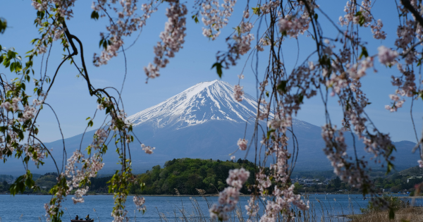 HK Express日本機票優惠！單程機票$198起！賞櫻季出發！