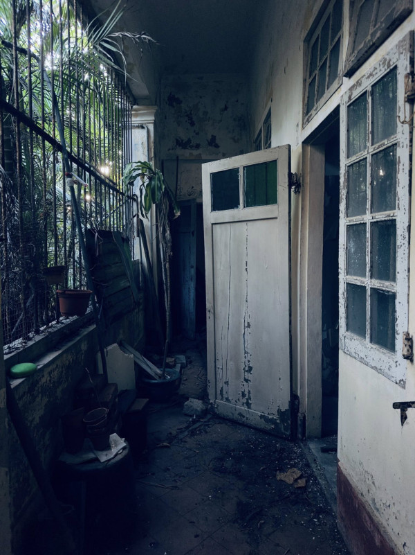 迪士尼樂園外圍驚現「恐怖白骨」？愛犬尋寶疑見殘骸？網民：嚇到心都離一離