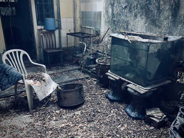 長洲百年「幽靈醫院」內部曝光！荒廢30年如鬼域　網民：門口望過但唔敢入去