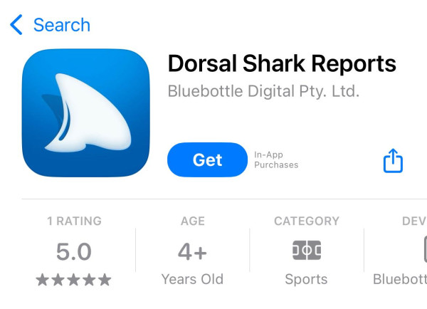 48小時連爆4宗鯊魚咬人！澳洲當局緊急封鎖熱門海灘 呼籲遊客：切勿落水 