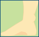 下巴飽滿一世唔憂米？蘇民峰教睇「有食神」面相！6大「衰相」自救法：呢種要靠黐先發達