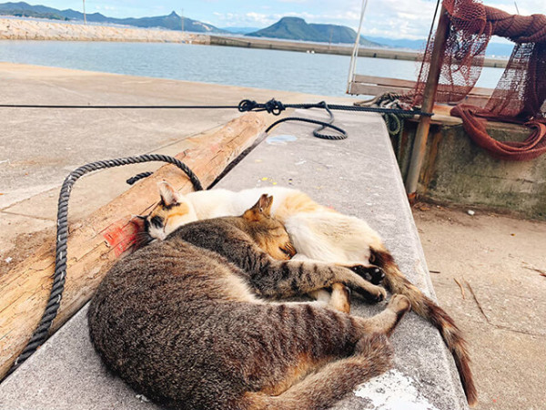 圖片來源：japantravel.navitime