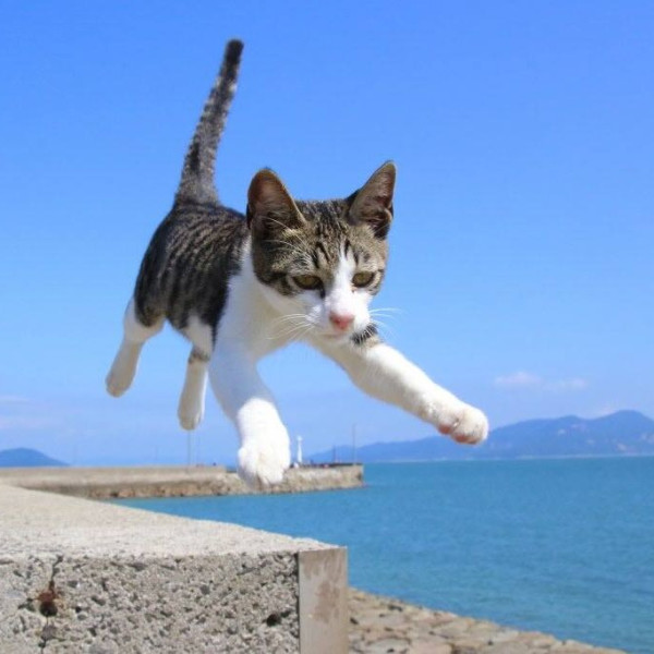 圖片來源：香川縣觀光官方IG