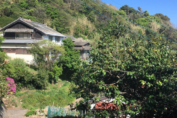 圖片來源：trip.com