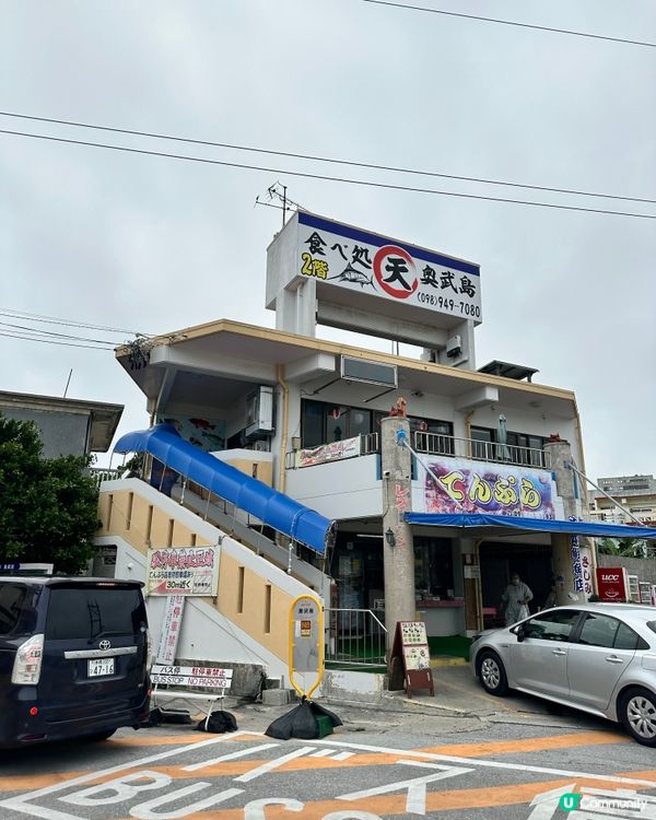 【日本貓島】貓奴朝聖地圖不止田代島！日本逾10大貓島必去江之島/福岡相島 