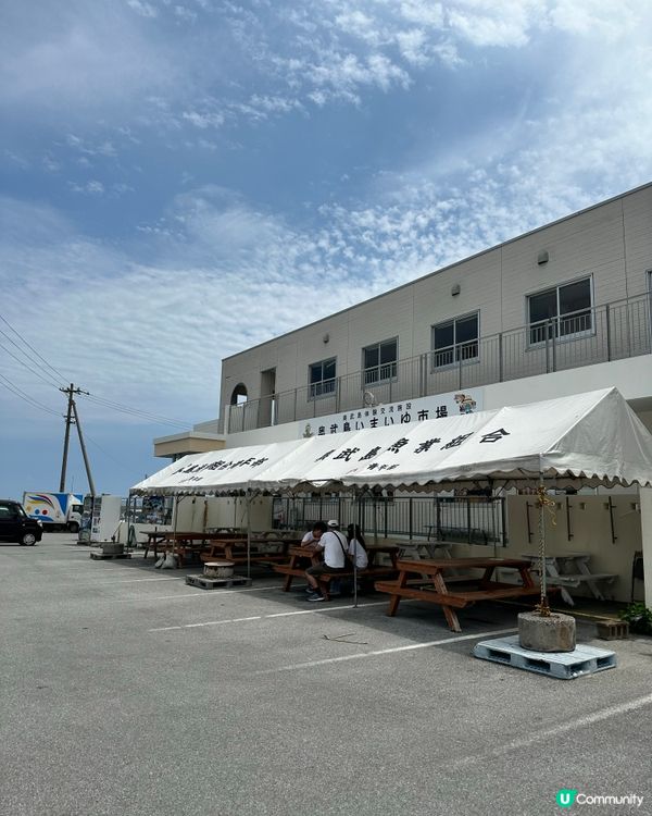 【日本貓島】貓奴朝聖地圖不止田代島！日本逾10大貓島必去江之島/福岡相島 