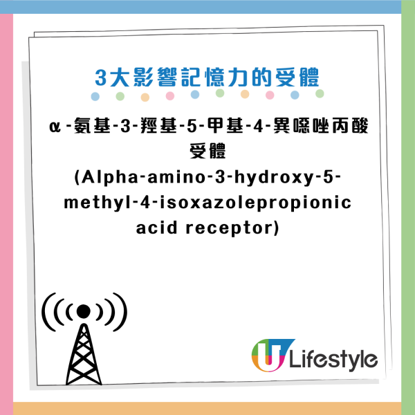認知障礙｜說話成日「斷片/窒住」？醫生警告：大腦正步向衰退！出現這徵兆即做3件事救腦