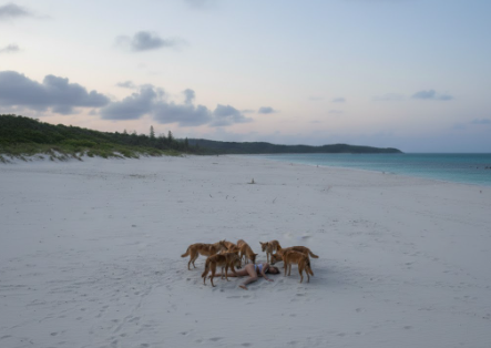 圖片來源:AI 圖片來源:AI