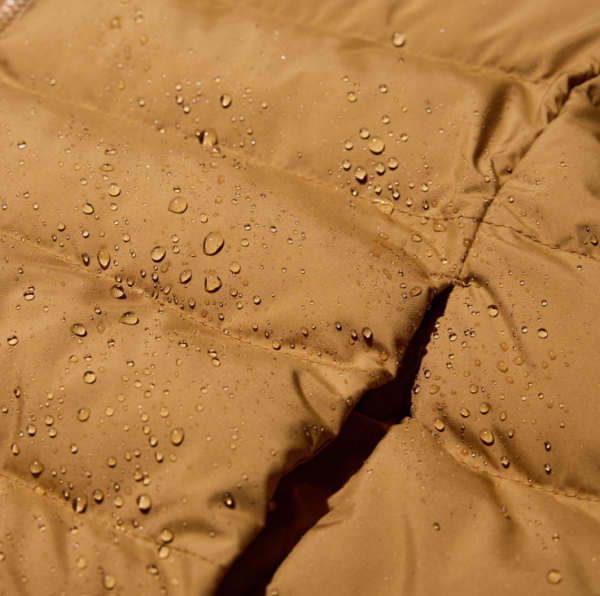 照片來源：日本Uniqlo 官方網站