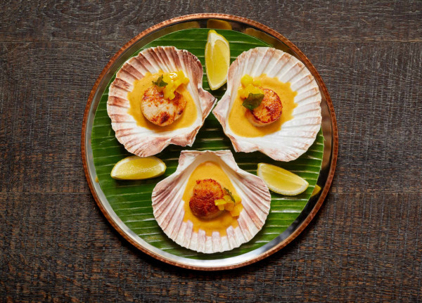 （圖片來源︰Chaiwala官網）