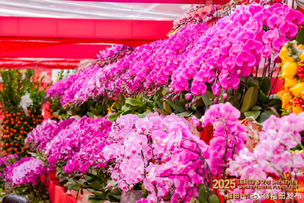 過年北上攻略2026｜農曆新年返大陸深圳貼士！有咩好去處？商場餐廳會否開？附地鐵/口岸開放時間 