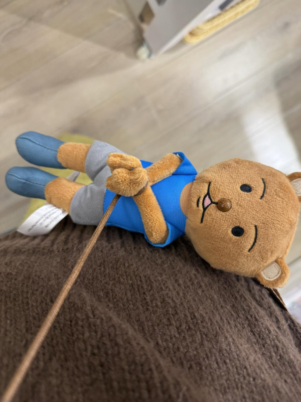 動漫界傳奇「熊吉」在港落網？LOG-ON現身爆紅公仔「熊吉被逮捕」 還原經典被捕場面！