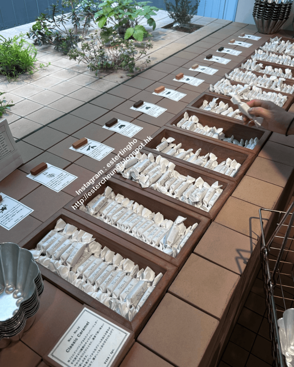 【日本手信2026】嚴選東京最新人氣手信清單!網民力推爆紅奶油餅乾/焦糖布丁撻