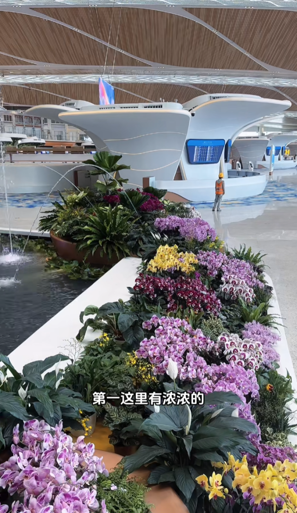 照片來源:小紅書@布氏人文日记 照片來源:小紅書@布氏人文日记