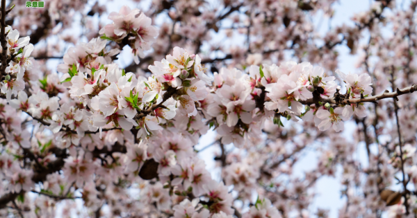 部份相片授權：IG@bhan7269, IG@shony__m, IG@ji___kyounghwan, IG@iliilgu, IG@taeyoung70d, IG@minyoung_u2, IG@rallagirl12, IG@all_only_for_love, IG@water_pencil, IG@le_petit_g, IG@1004hyunga, IG@lovethemoment_p, IG@ingyeong_2, IG@yenmi880523, IG@yi_namho