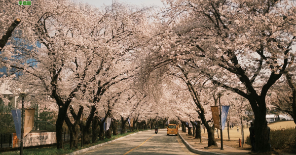 部份相片授權：IG@bhan7269, IG@shony__m, IG@ji___kyounghwan, IG@iliilgu, IG@taeyoung70d, IG@minyoung_u2, IG@rallagirl12, IG@all_only_for_love, IG@water_pencil, IG@le_petit_g, IG@1004hyunga, IG@lovethemoment_p, IG@ingyeong_2, IG@yenmi880523, IG@yi_namho