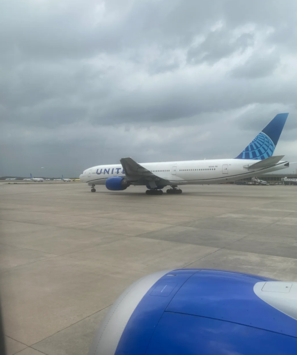 照片來源:小紅書@Mini_Crest 照片來源:小紅書@Mini_Crest