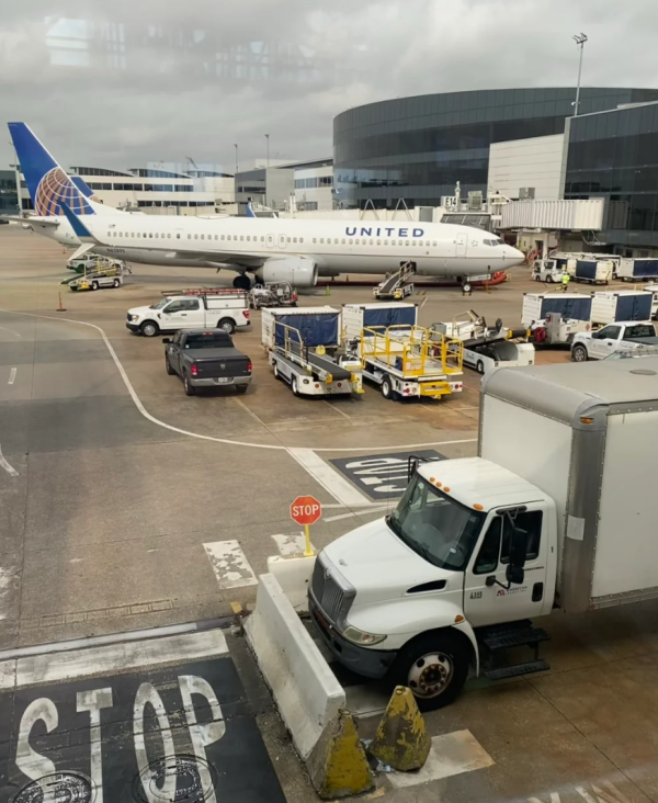 照片來源:小紅書@Mini_Crest 照片來源:小紅書@Mini_Crest