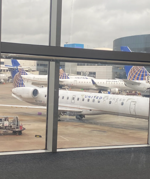 照片來源:小紅書@Mini_Crest 照片來源:小紅書@Mini_Crest