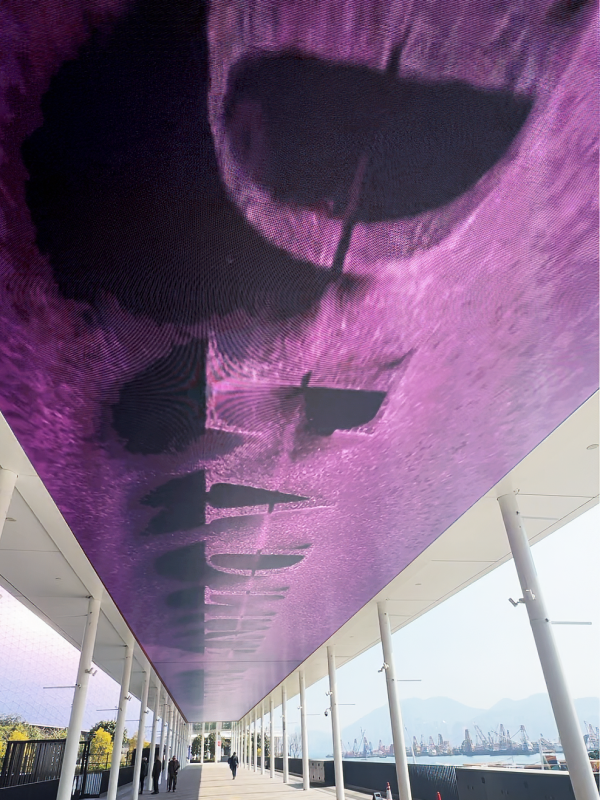 BLACKPINK香港演唱會2026︱1月啟德主場館連開3場 官方快閃店登陸啟德！周邊商品/入場懶人包/交通安排/座位表（不斷更新）