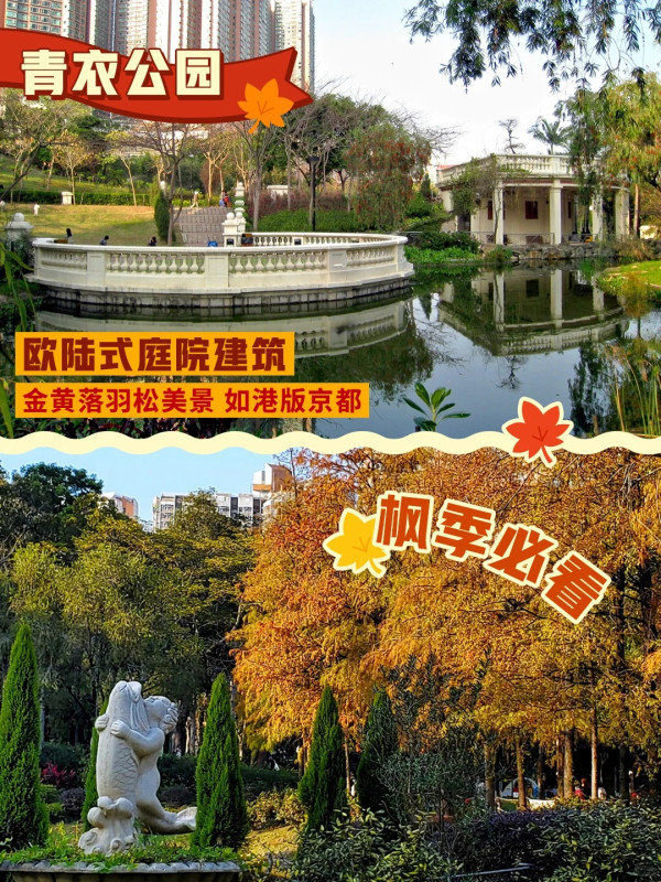 全港5大落羽松攻略2026！濕地公園排4小時？中大隱世秘境、流水響「天空之鏡」交通懶人包