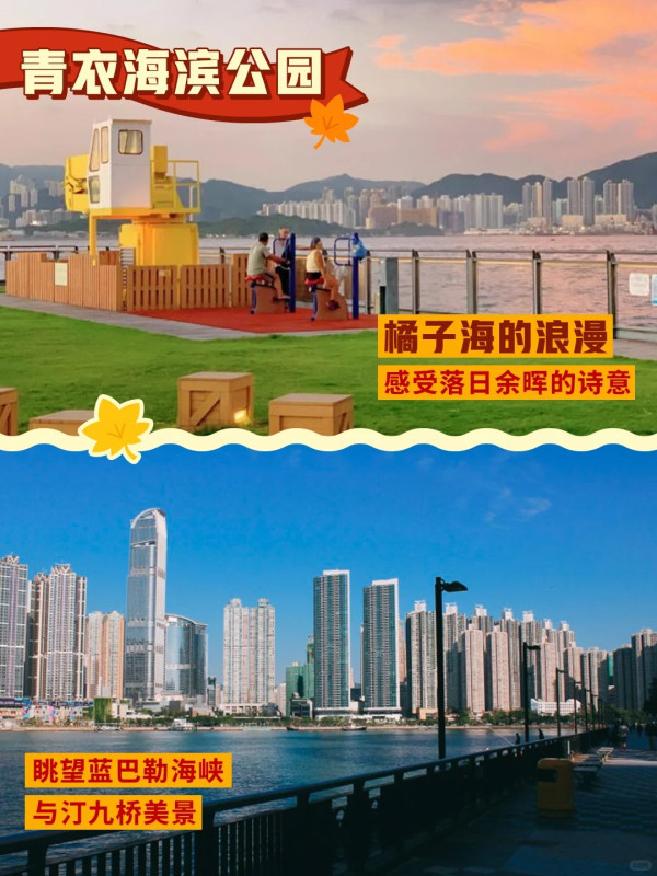 全港5大落羽松攻略2026！濕地公園排4小時？中大隱世秘境、流水響「天空之鏡」交通懶人包