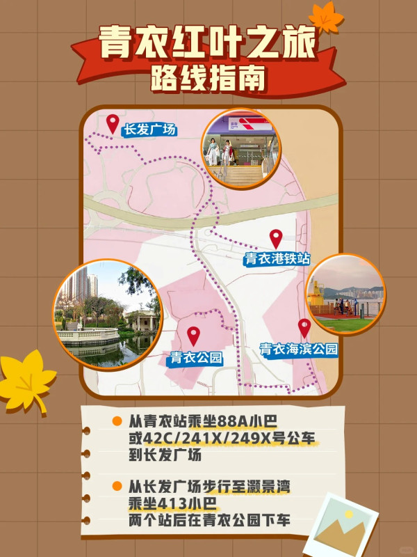 全港5大落羽松攻略2026！濕地公園排4小時？中大隱世秘境、流水響「天空之鏡」交通懶人包