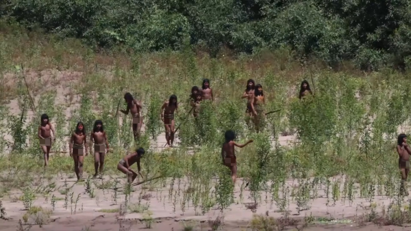 來源:Lex Clips@youtube 來源:Lex Clips@youtube