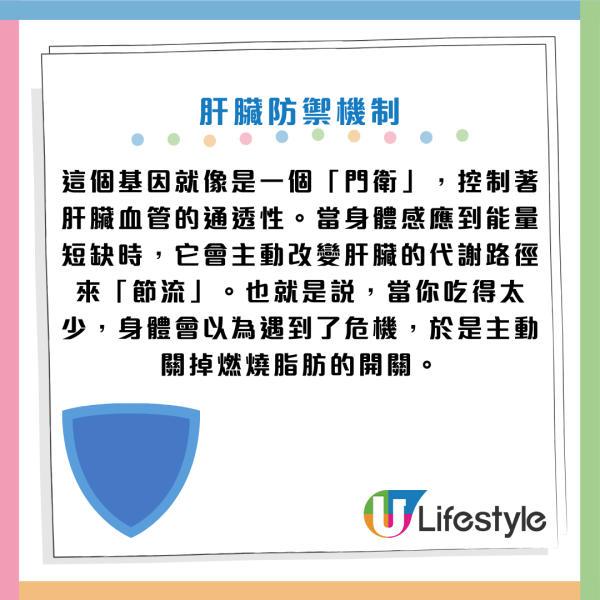 減肥陷阱｜愈食得少愈難減肥？醫生揭「熱量赤字」真相 節食恐啟動「鎖脂模式」 愈餓愈肥！