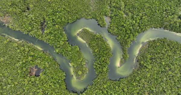 有片|深入亞馬遜拍下「原始部落」珍貴畫面!翌日遭200族人射箭圍攻 導遊穿胸奇蹟生還