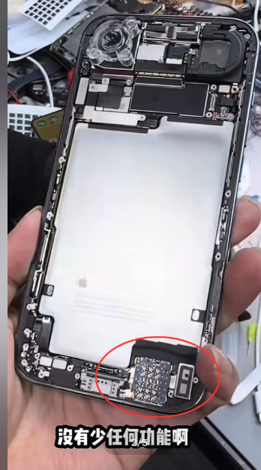 巴士安全帶扣驚動大曱甴 一拉安全帶小強衝出 港女驚嚇：個心就嚟跳出嚟