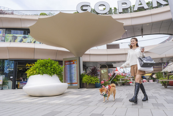 狗狗好去處推介｜香港寵物好去處！狗公園/寵物友善商場/室內外放狗熱點