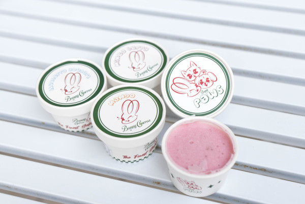 Bunny Churros - 寵物雪糕