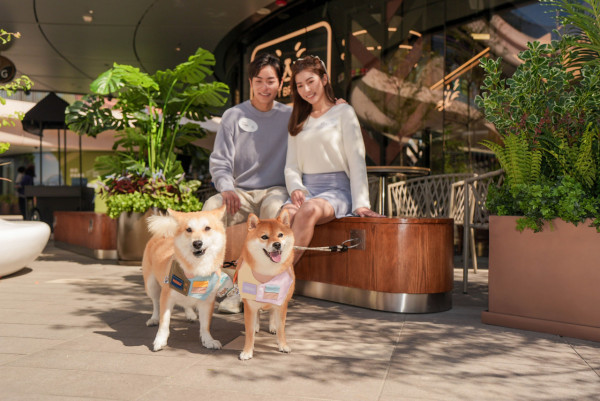 狗狗好去處推介｜香港寵物好去處！狗公園/寵物友善商場/室內外放狗熱點