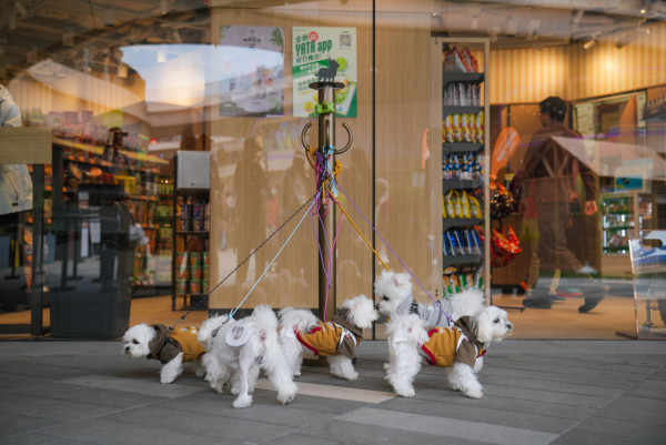 狗狗好去處推介｜香港寵物好去處！狗公園/寵物友善商場/室內外放狗熱點