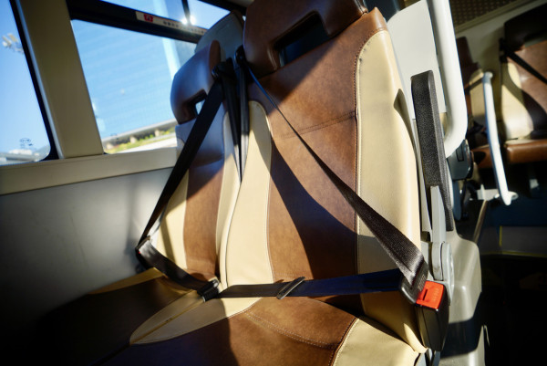 巴士安全帶扣驚動大曱甴 一拉安全帶小強衝出 港女驚嚇：個心就嚟跳出嚟