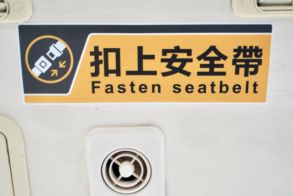 巴士安全帶扣驚動大曱甴 一拉安全帶小強衝出 港女驚嚇：個心就嚟跳出嚟