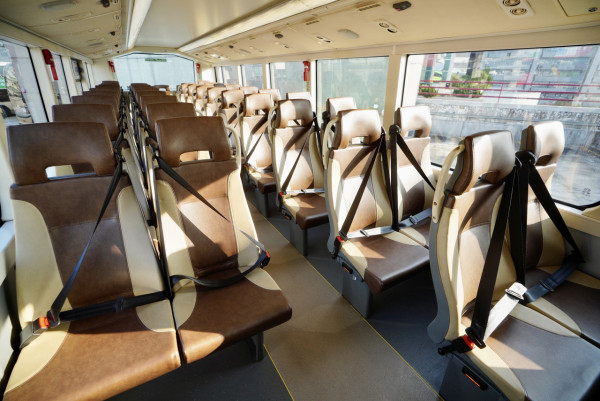 巴士安全帶扣驚動大曱甴 一拉安全帶小強衝出 港女驚嚇：個心就嚟跳出嚟