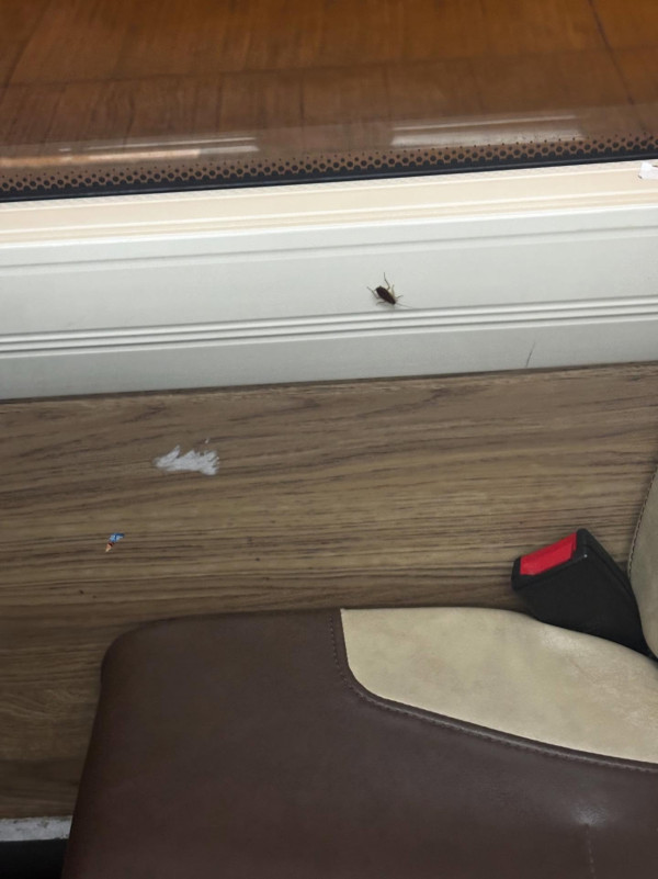 扣安全帶撳唔到鐘？港男出動祕密武器自救 網民提議用舊式㩒鐘設備更好？【有片】