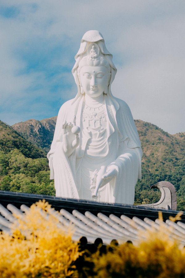 新年好去處2026｜大埔慈山寺新春開放預約只限7日！桃花林秘境首度曝光：即搶免費名額（附詳情及日期）