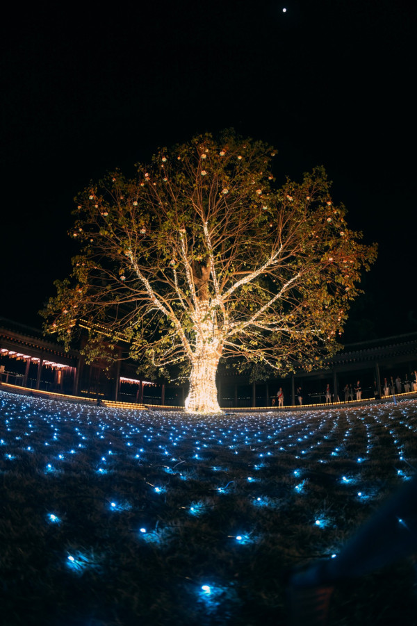 新年好去處2026｜大埔慈山寺新春開放預約只限7日！桃花林秘境首度曝光：即搶免費名額（附詳情及日期）