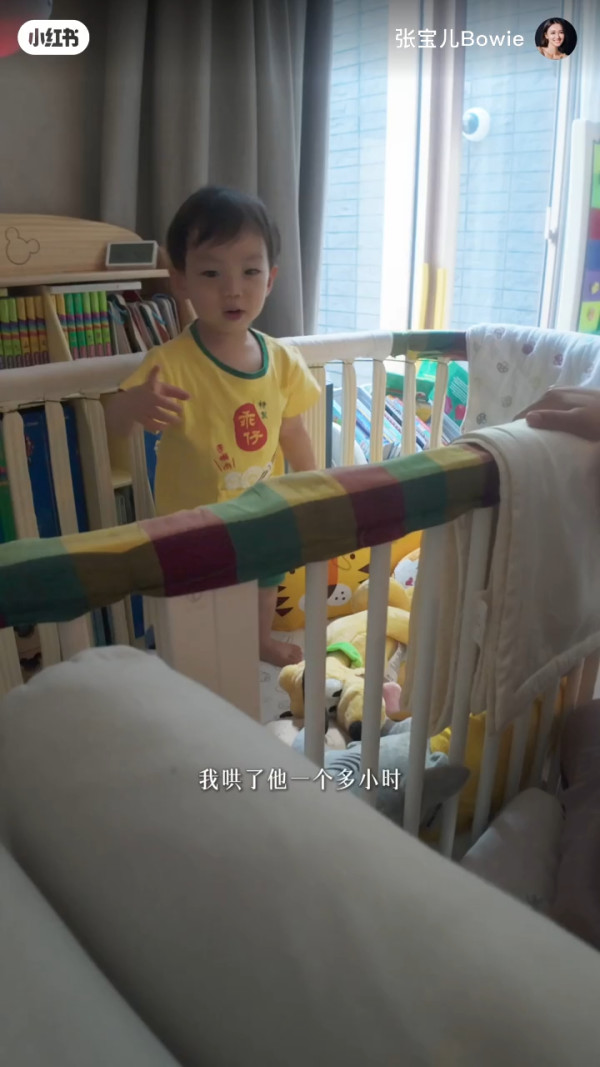 張寶兒情緒失控竟鎖2歲大仔入房？「你所有嘢都係阿媽」被轟怪獸家長