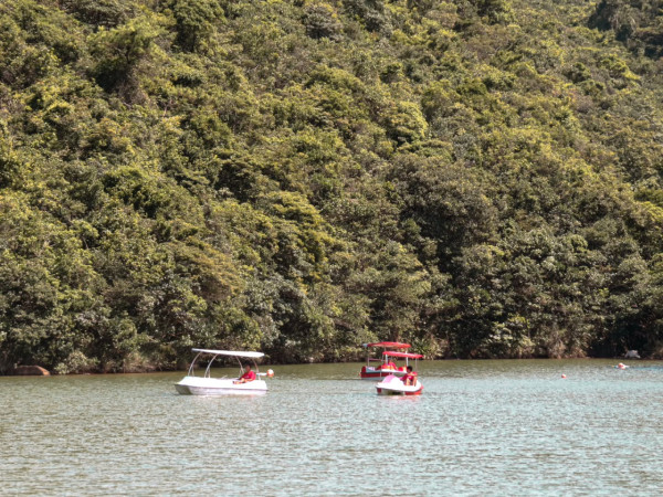 黃泥涌水塘茶座重開，人均$30起限時任踩水上單車。圖片來源：黃泥涌水塘花園茶座