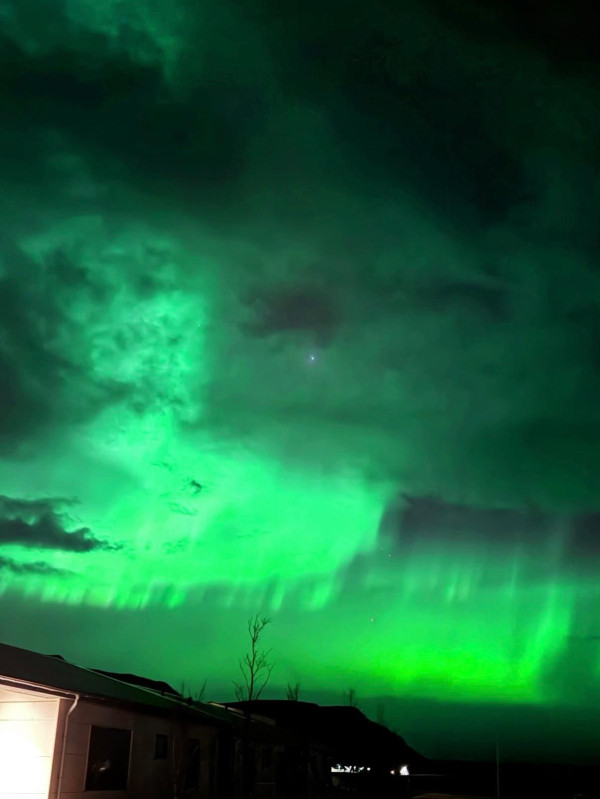 照片來源：Instagram@sandytooooo