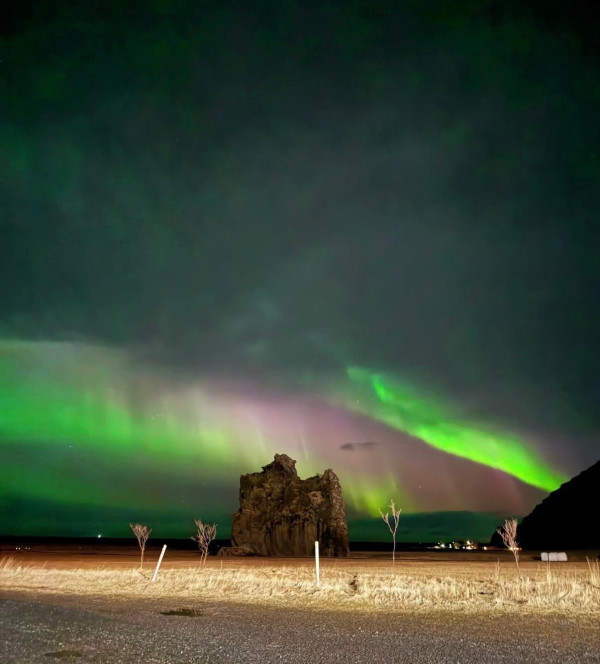 照片來源：Instagram@sandytooooo