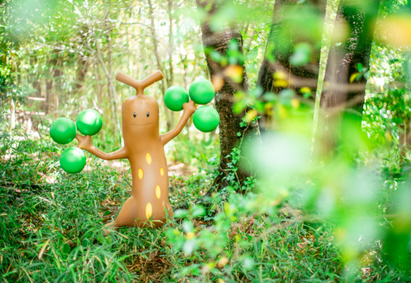 Photo︰ポケパーク カントー提供 Photo︰ポケパーク カントー提供