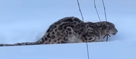 圖片來源:小紅書 圖片來源:小紅書